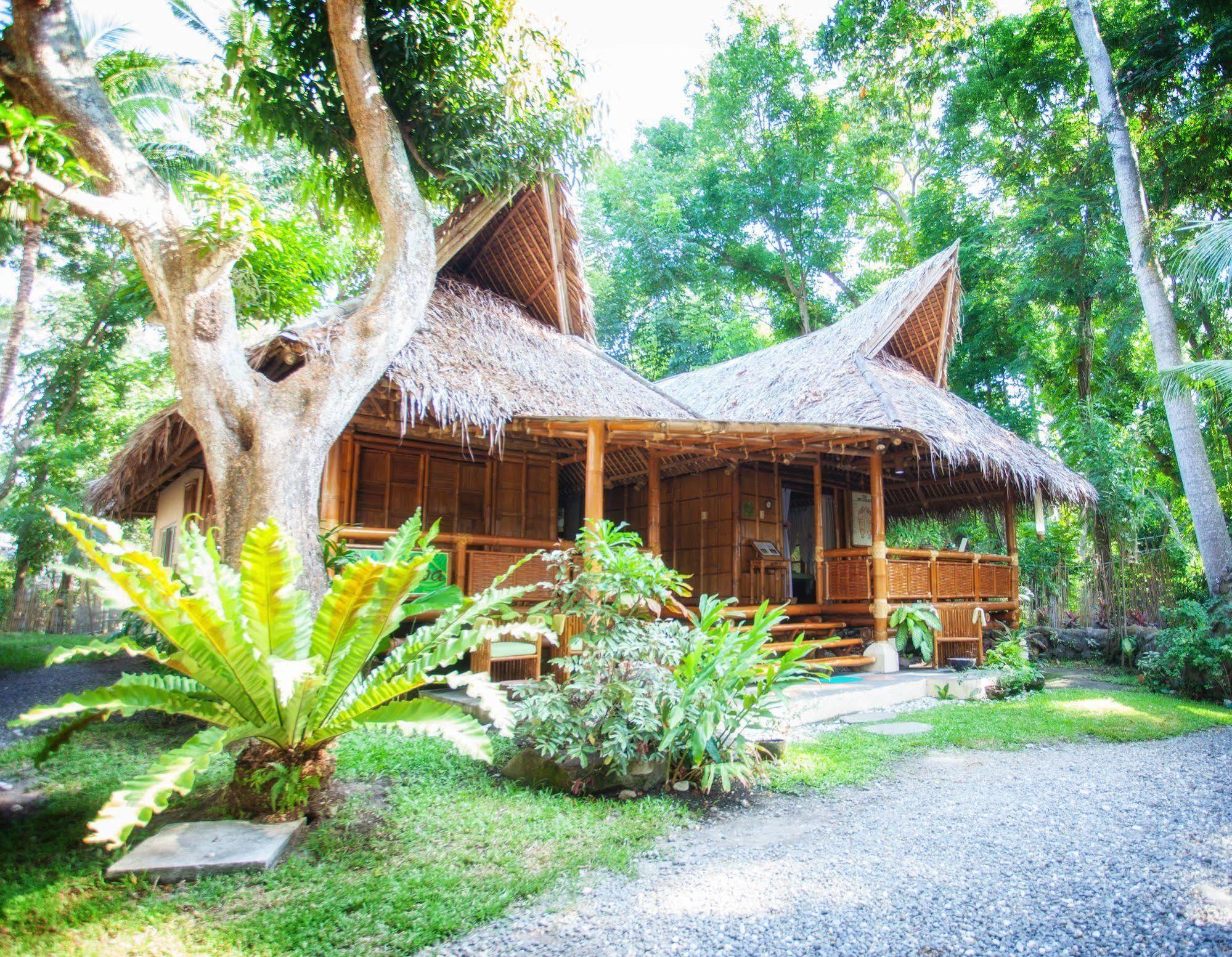 Pura Vida Beach&Dive Resort Dauin Exterior foto