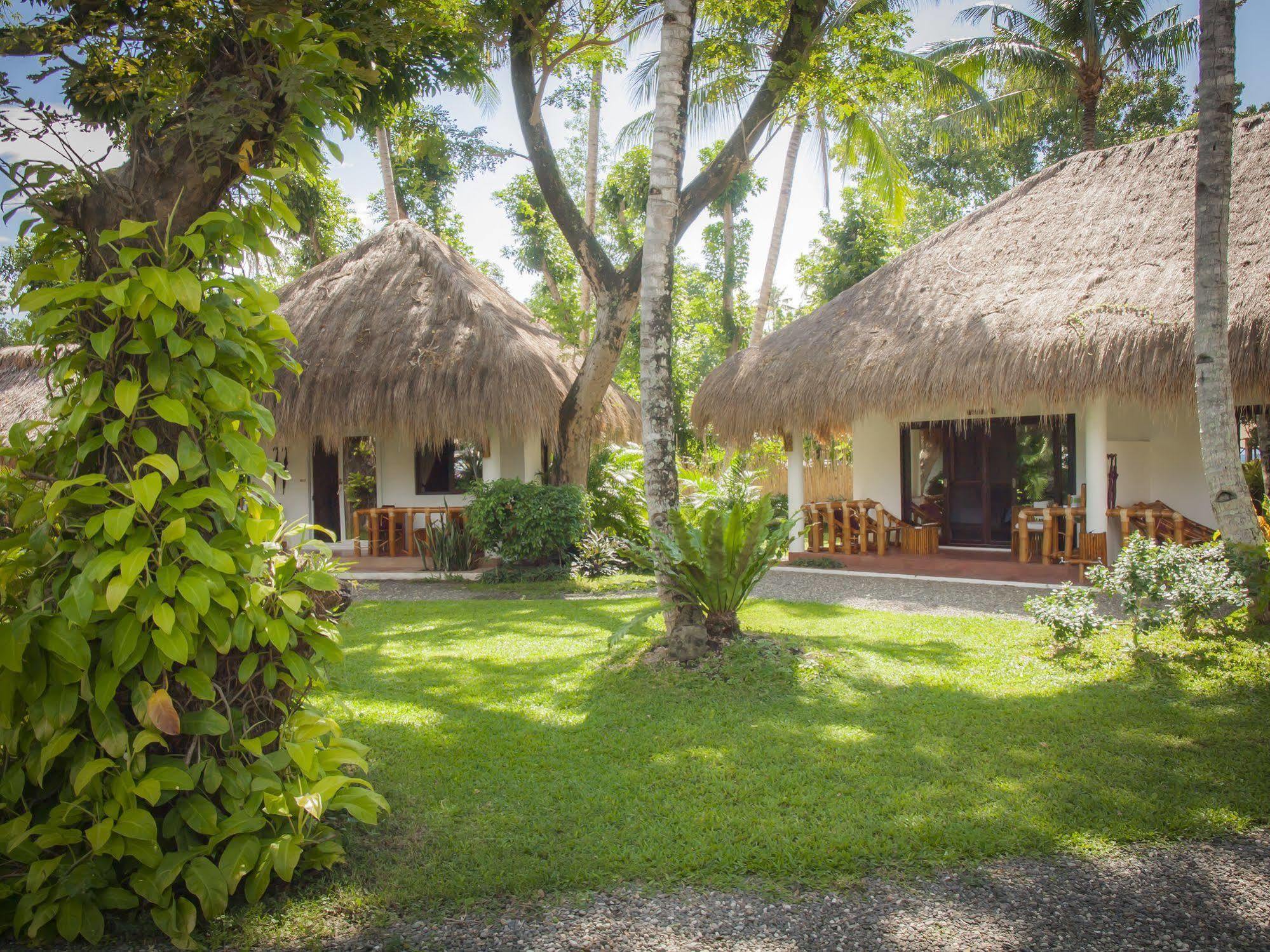 Pura Vida Beach&Dive Resort Dauin Exterior foto